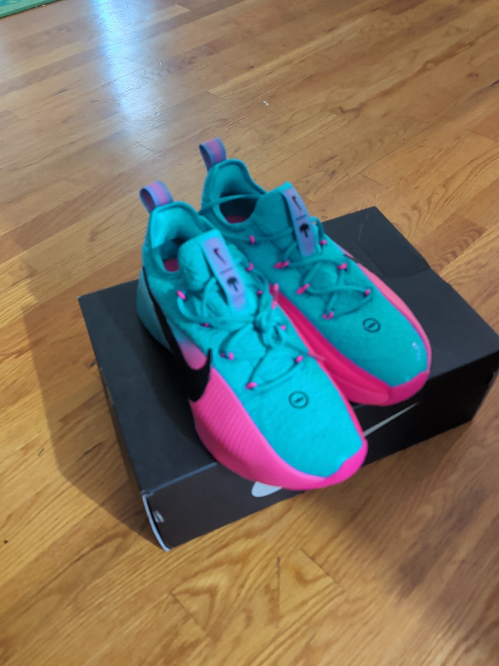 Nike LeBron TR 1 Mens Size 9 Dusty Cactus Pink Blast Black FJ6151 301 NIB